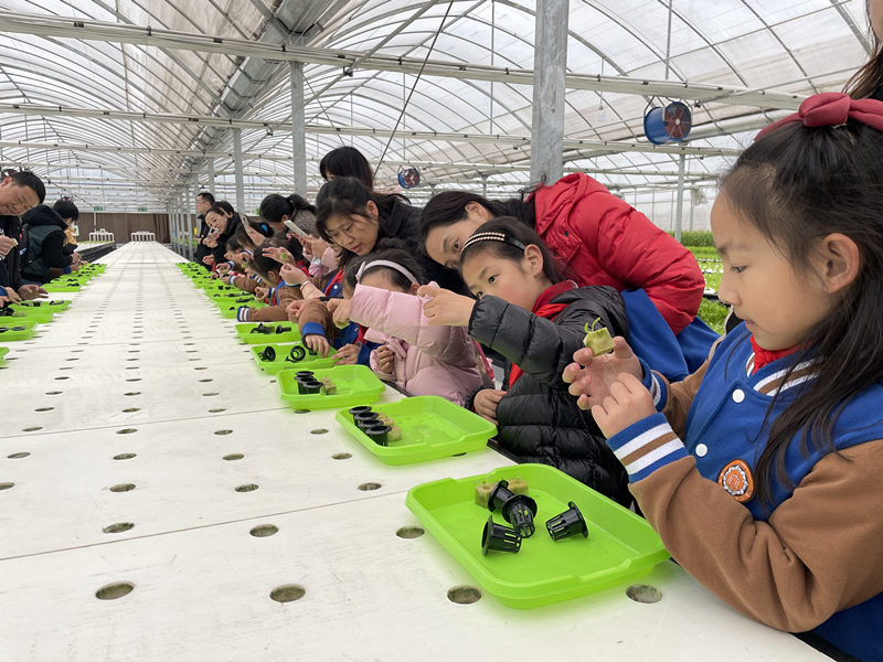 蜜桃成品人视频免费入口