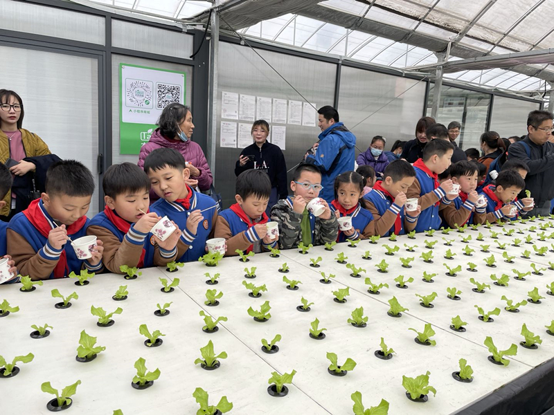 蜜桃成品人视频免费入口