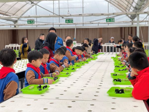 蜜桃成品人视频免费入口