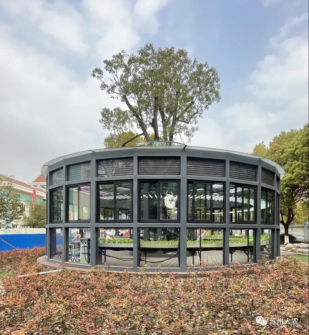 蜜桃成品人视频免费入口