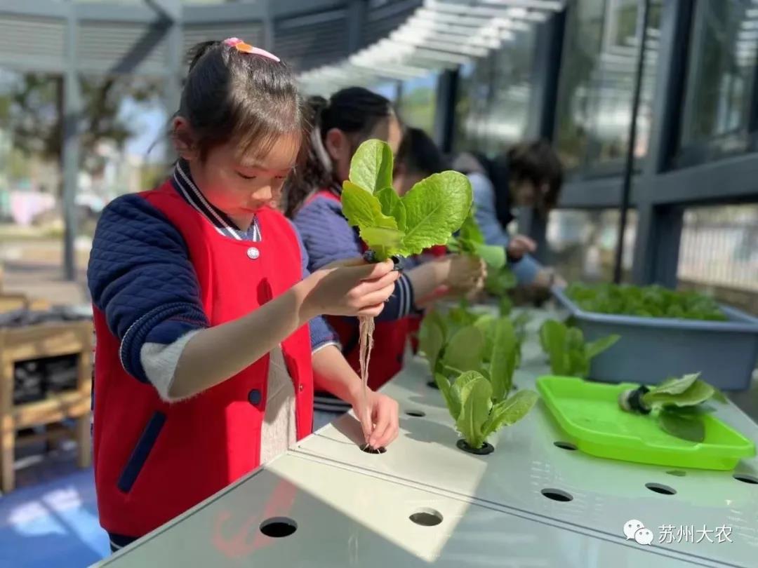 蜜桃成品人视频免费入口