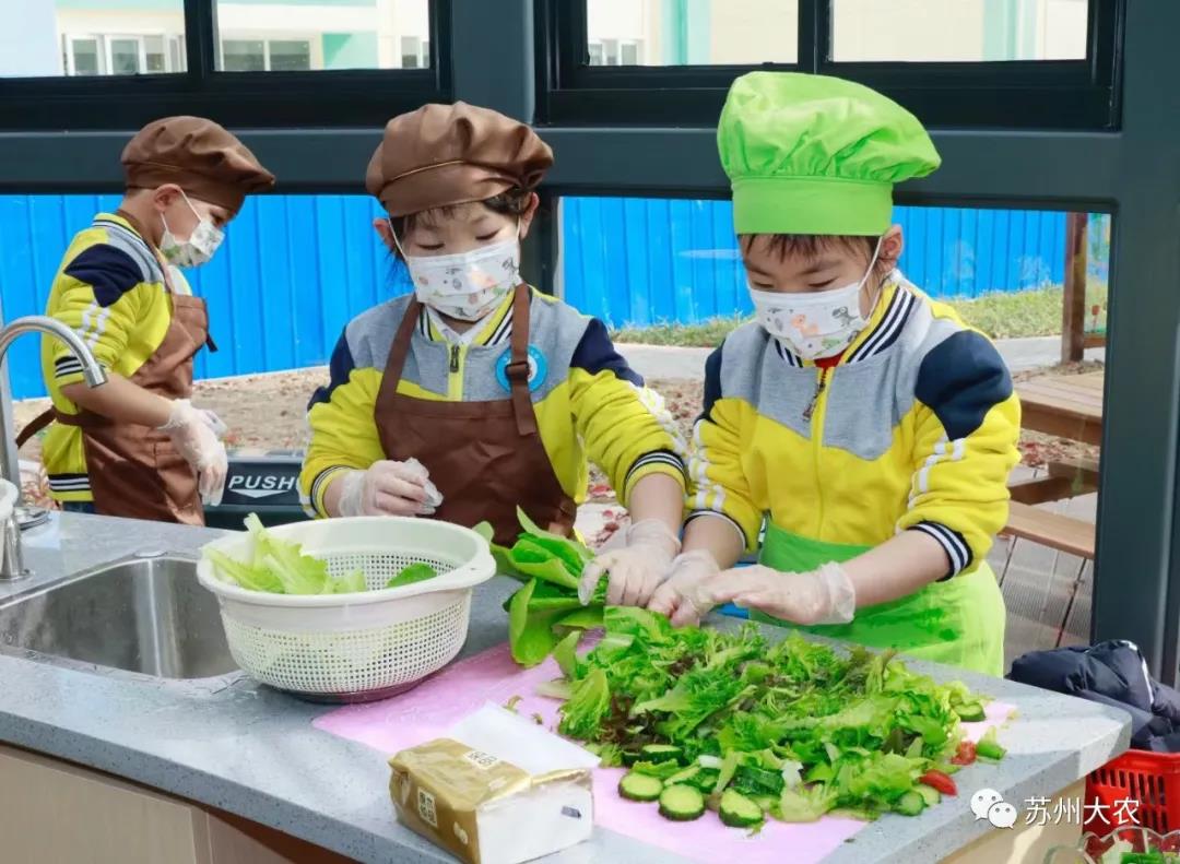 蜜桃成品人视频免费入口