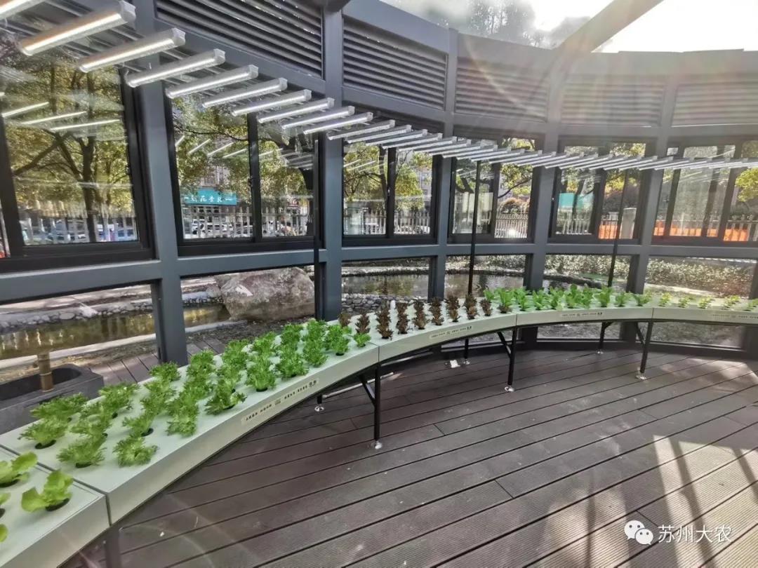 蜜桃成品人视频免费入口