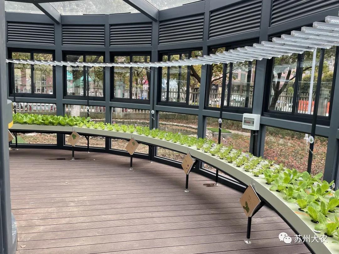 蜜桃成品人视频免费入口