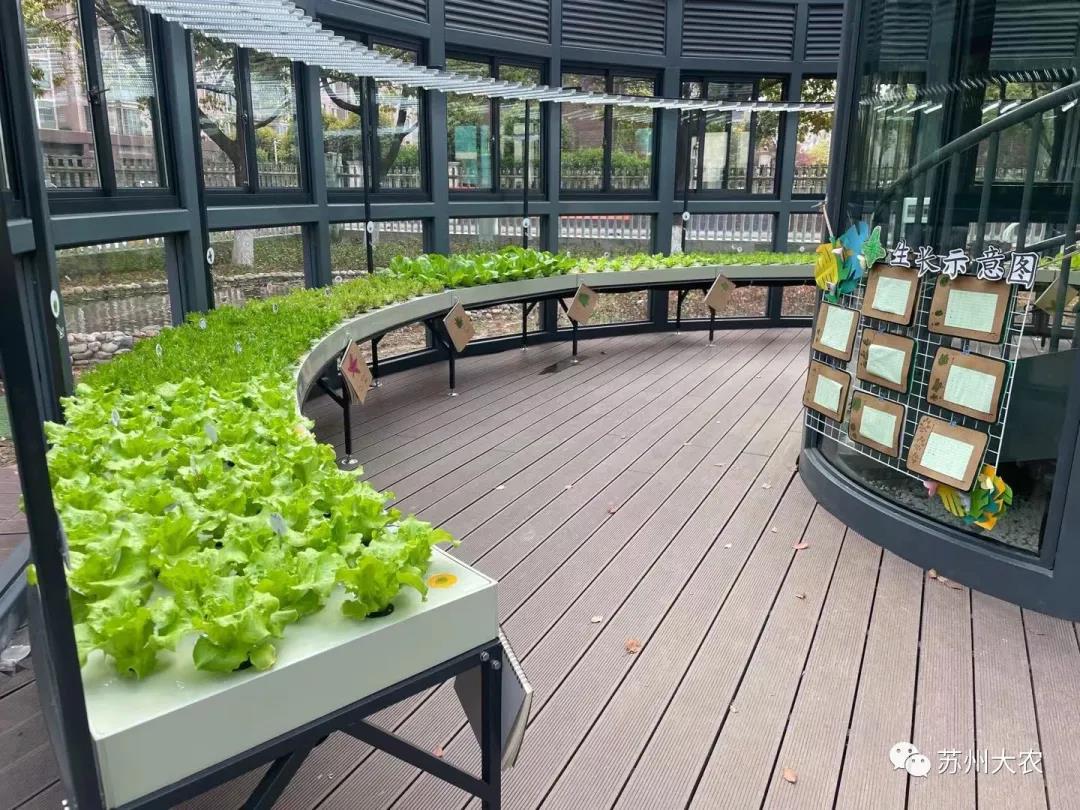 蜜桃成品人视频免费入口