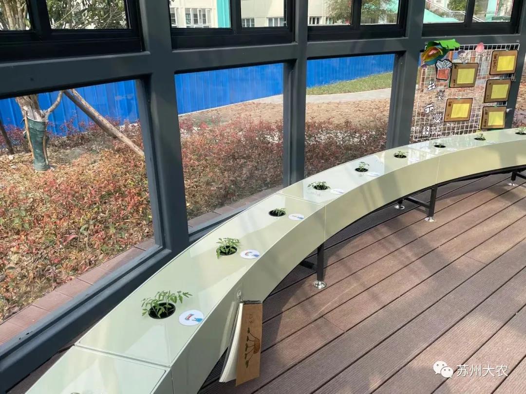 蜜桃成品人视频免费入口