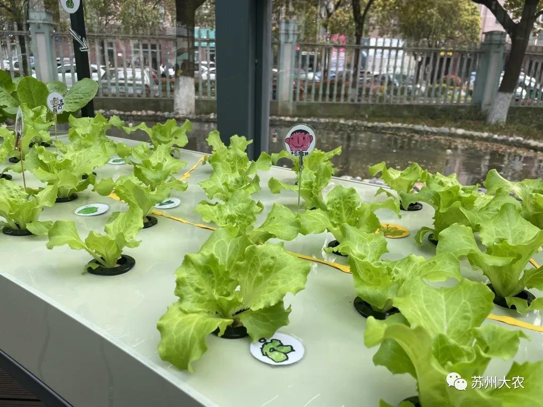 蜜桃成品人视频免费入口