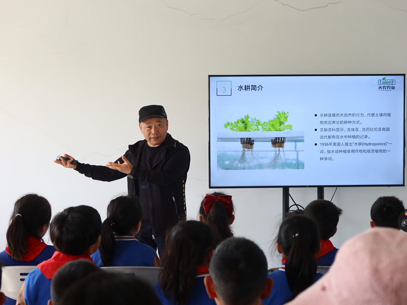 蜜桃成品人视频免费入口