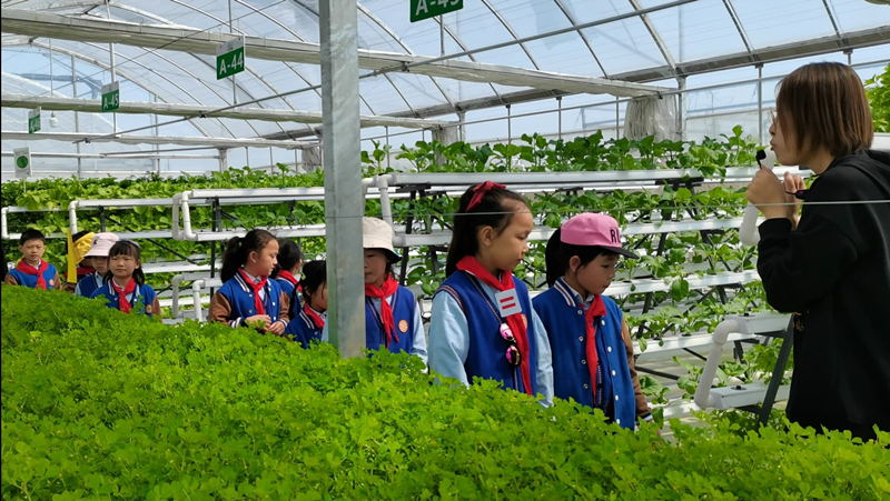 蜜桃成品人视频免费入口