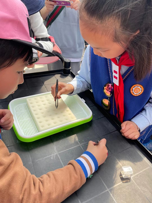 蜜桃成品人视频免费入口