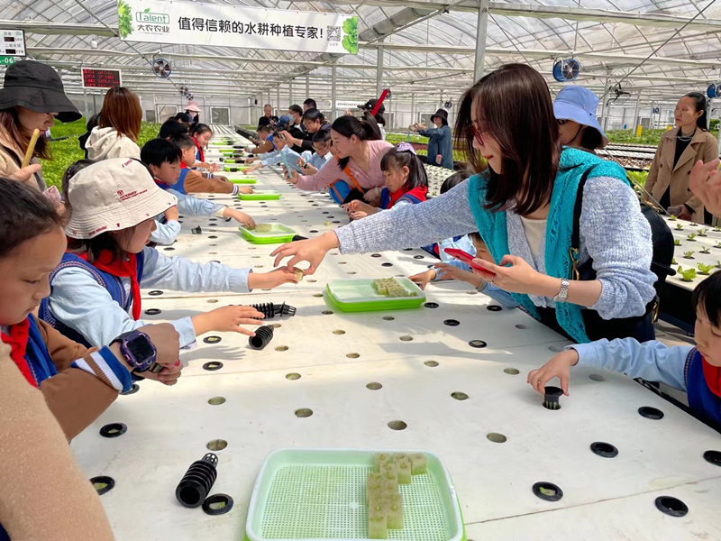 蜜桃成品人视频免费入口