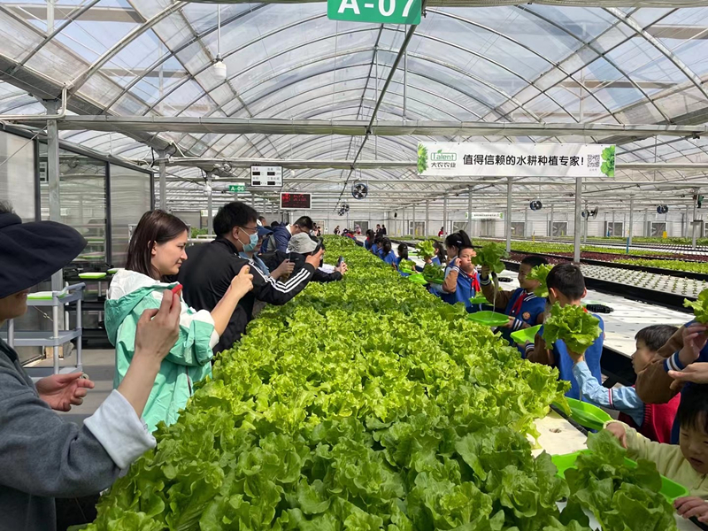 蜜桃成品人视频免费入口