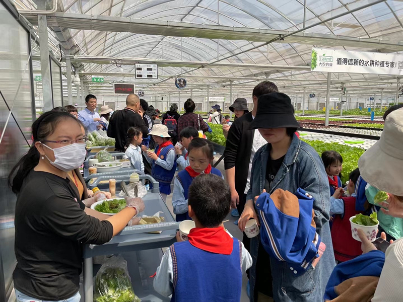 蜜桃成品人视频免费入口