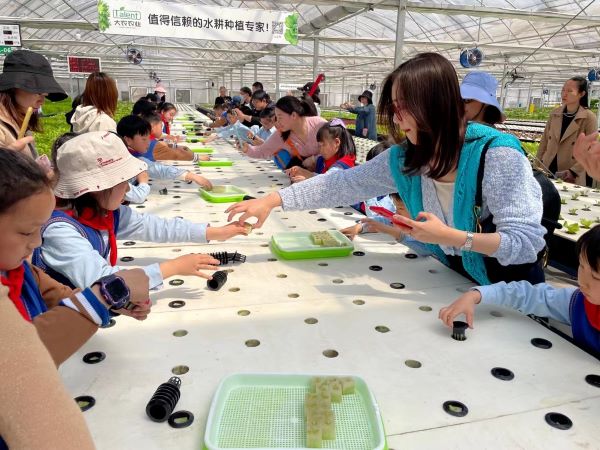 蜜桃成品人视频免费入口