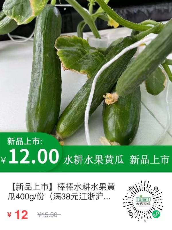 蜜桃成品人视频免费入口