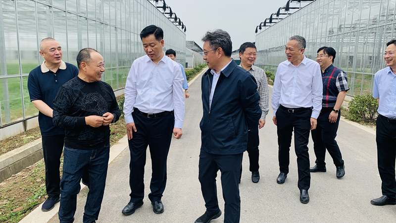 蜜桃成品人视频免费入口