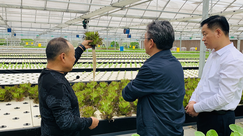 蜜桃成品人视频免费入口