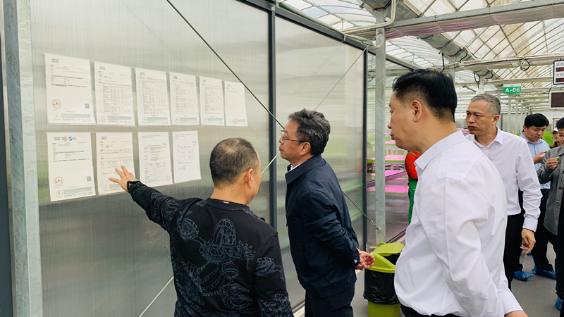 蜜桃成品人视频免费入口