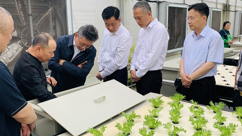 蜜桃成品人视频免费入口