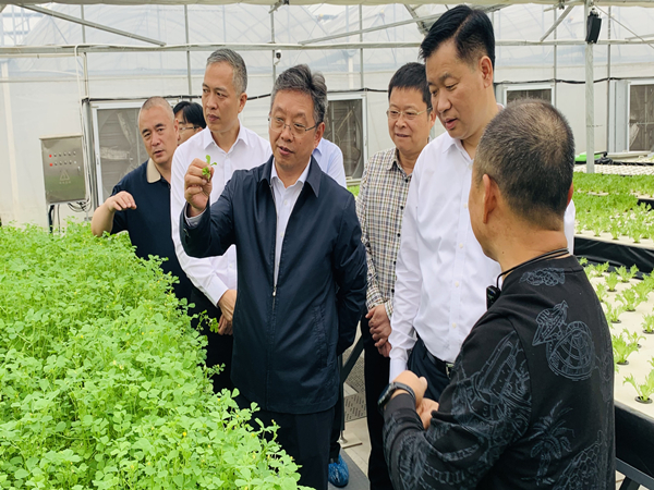 蜜桃成品人视频免费入口