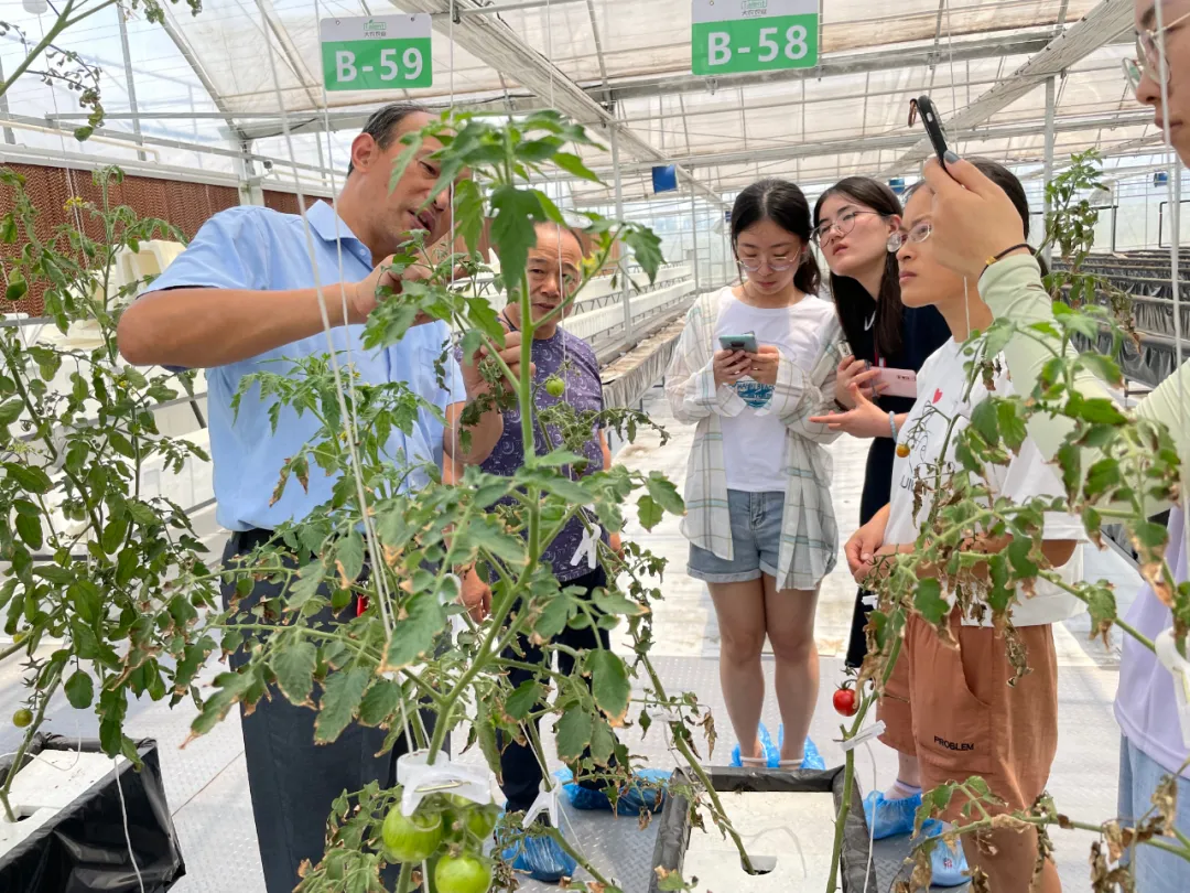 蜜桃成品人视频免费入口