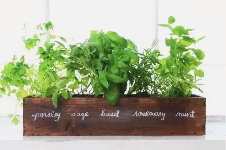 蜜桃成品人视频免费入口