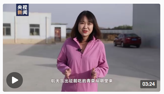 蜜桃成品人视频免费入口